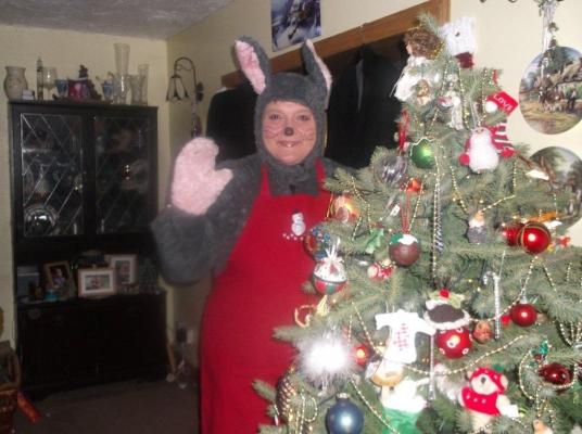 Christmas Bunny 2013